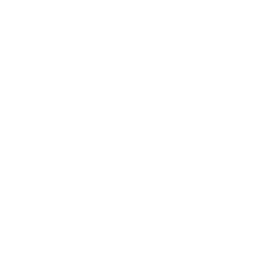 Era Tattoo Logo